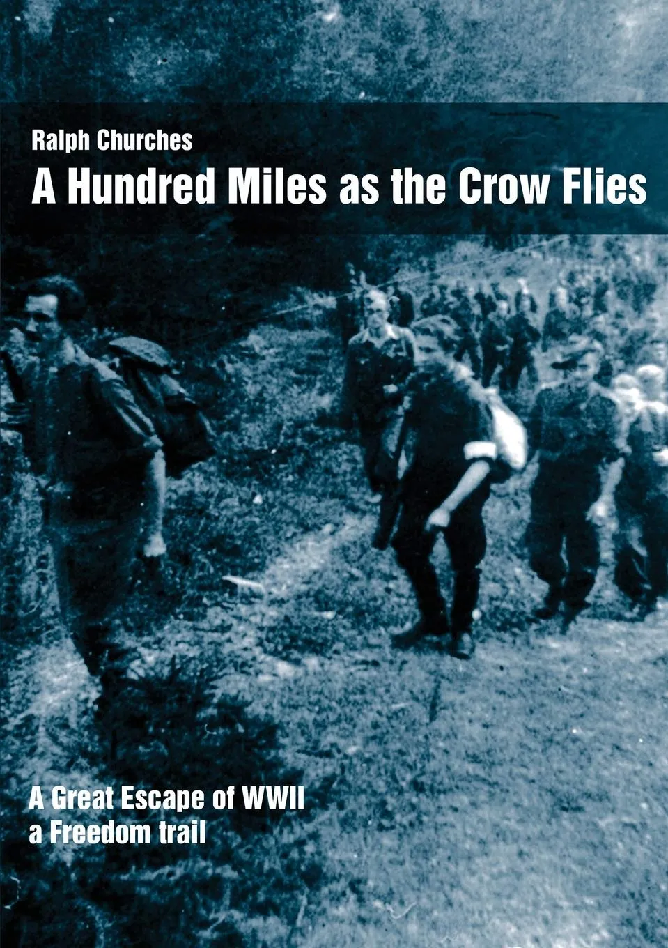 A Hundred Miles As The Crow Flies book cover