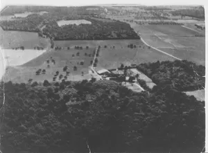 Part of Freteval Forest and the Farm