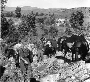 Greek partisans