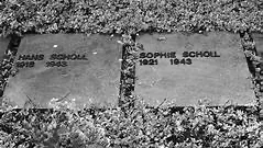 Memorial stones for Hans and Sophie Scholl
