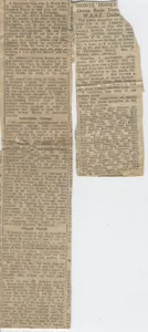 Newspaper clippings about Albert Johnson
