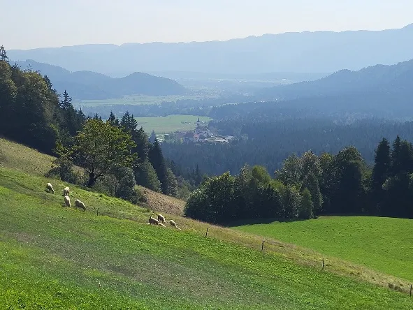 Mountain landscape along the Crow’s Flight Trail near Maribor