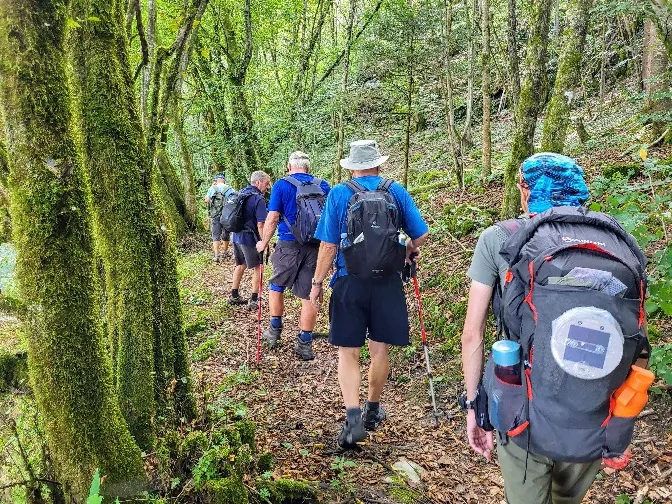 Walkers following a wooded section of the Crow’s Flight Trail